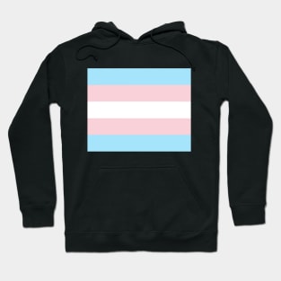 Lineless Trans Flag Hoodie